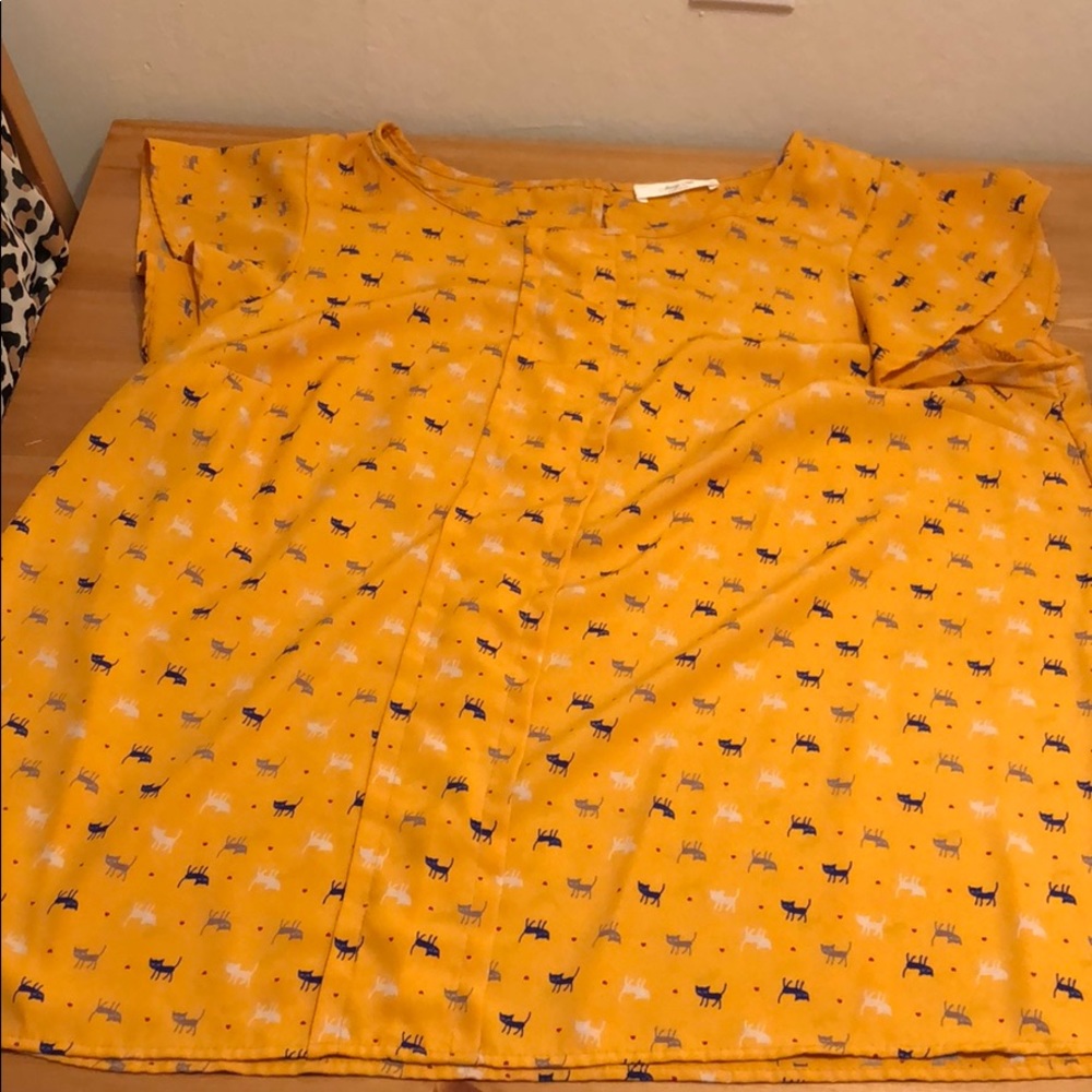 Golden cat shirt